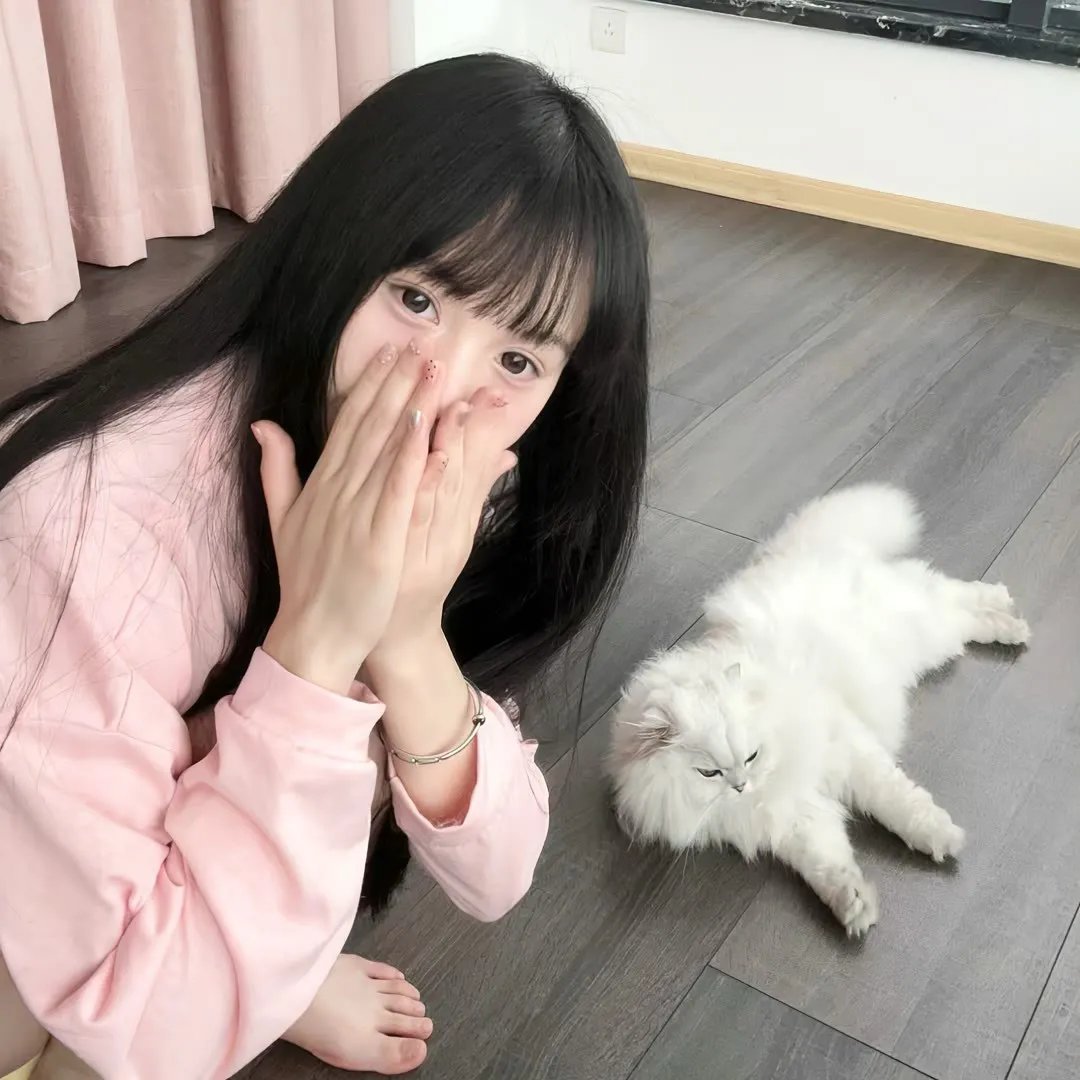 猎鹰上升